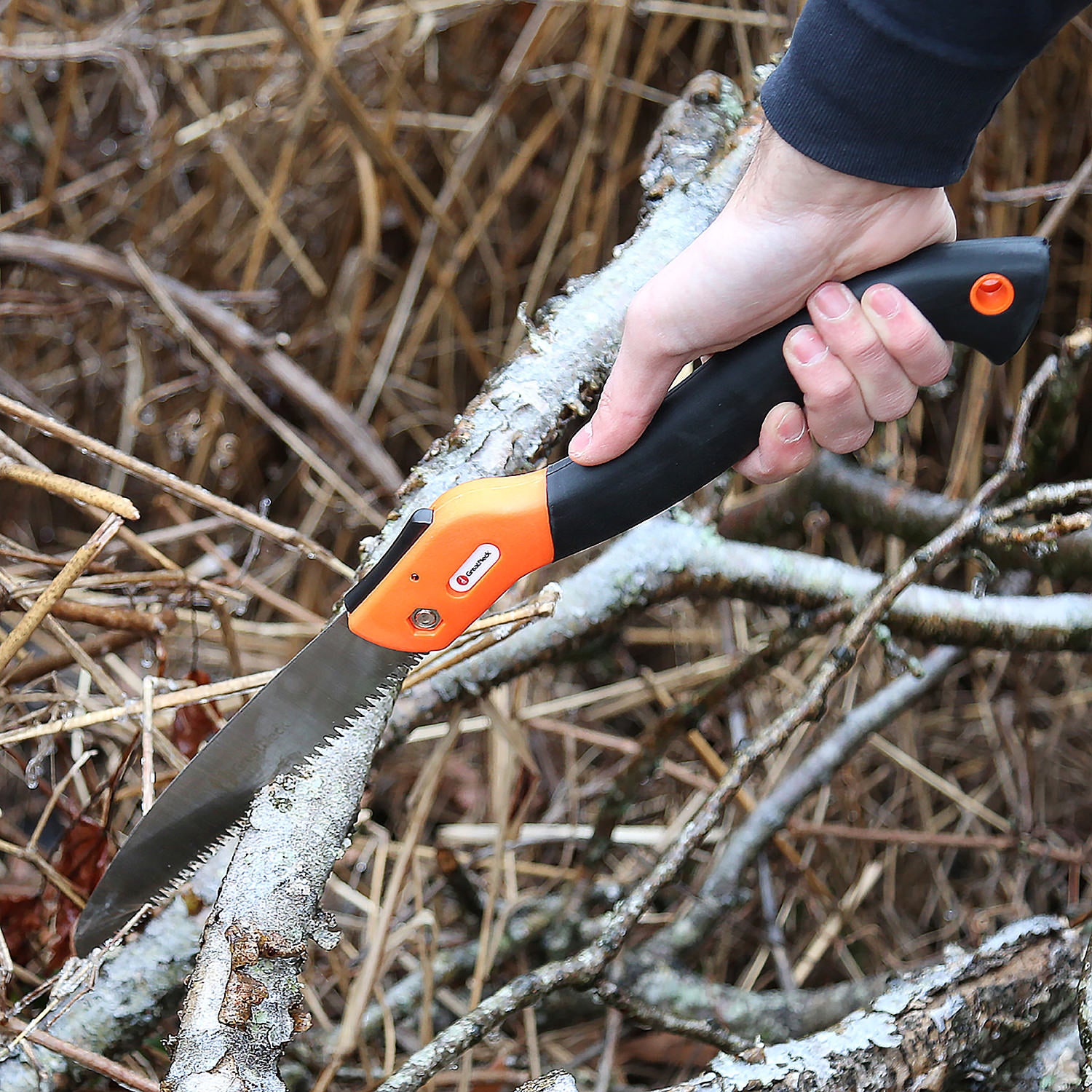 PRS10 Additional Image 8