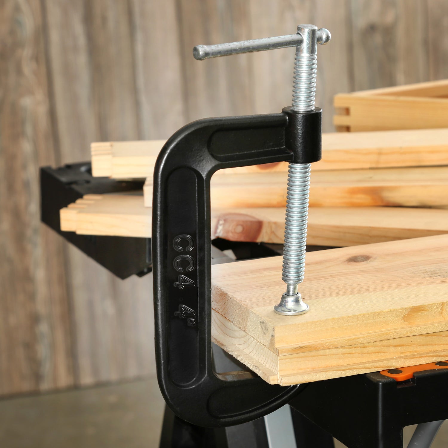 CC4 Additional Image 7