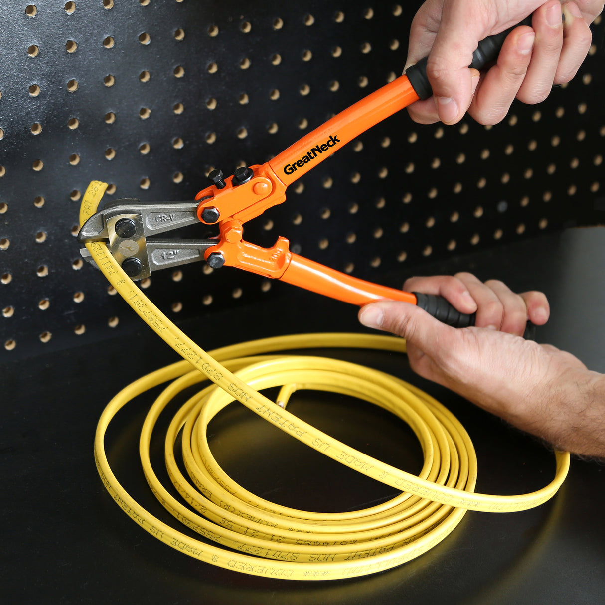 BC12 Additional Image 7