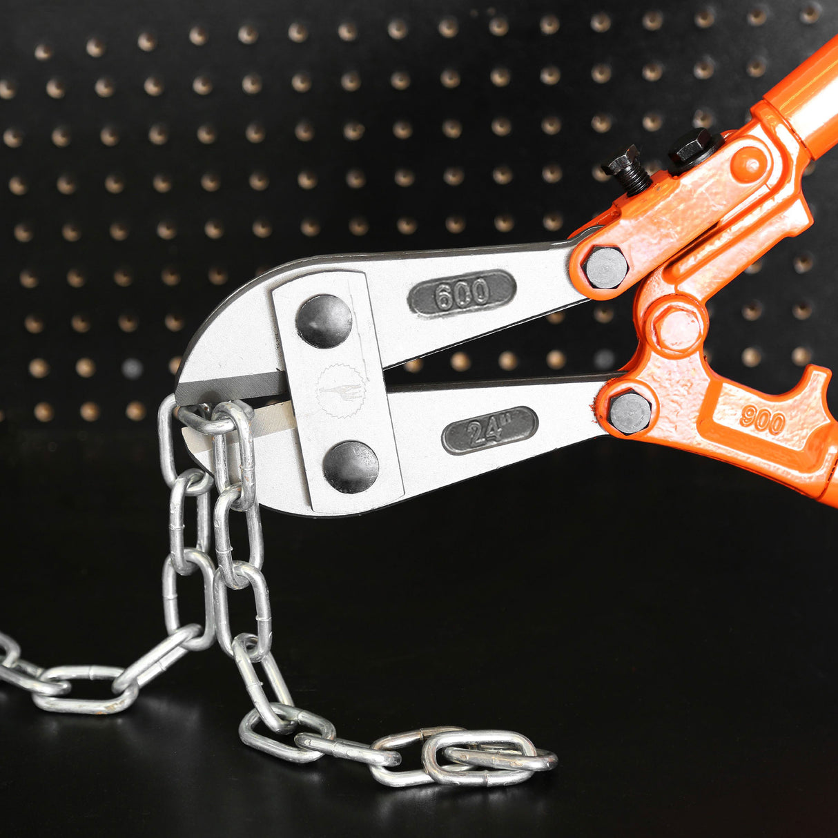 BC24 Additional Image 6