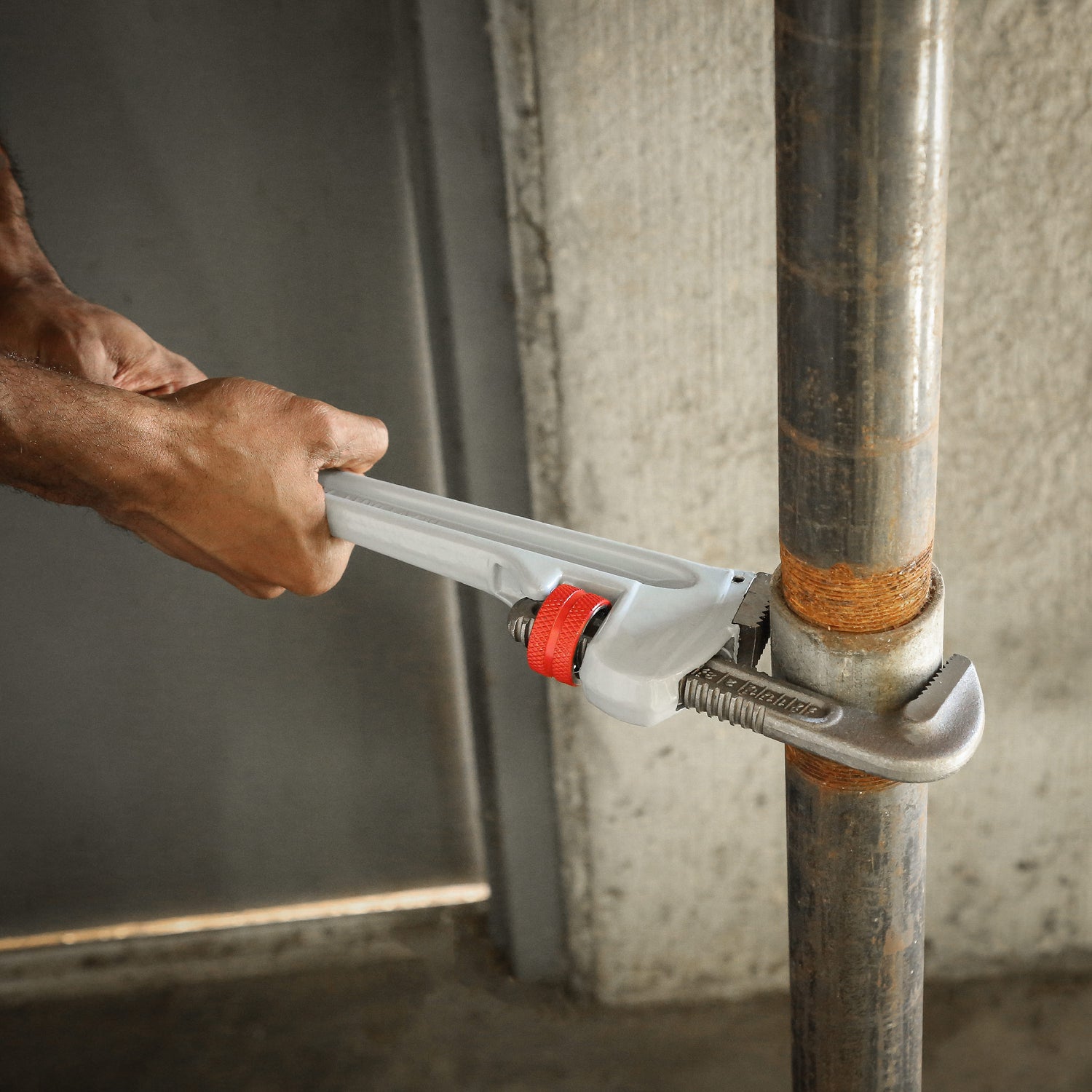 APW14 Additional Image 5