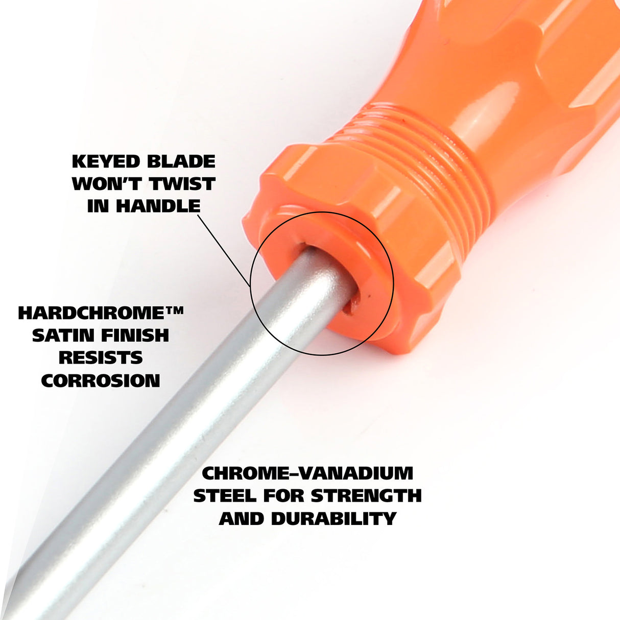 73731 Additional Image 3