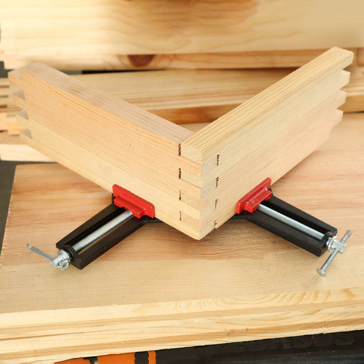 CCL Additional Image 6