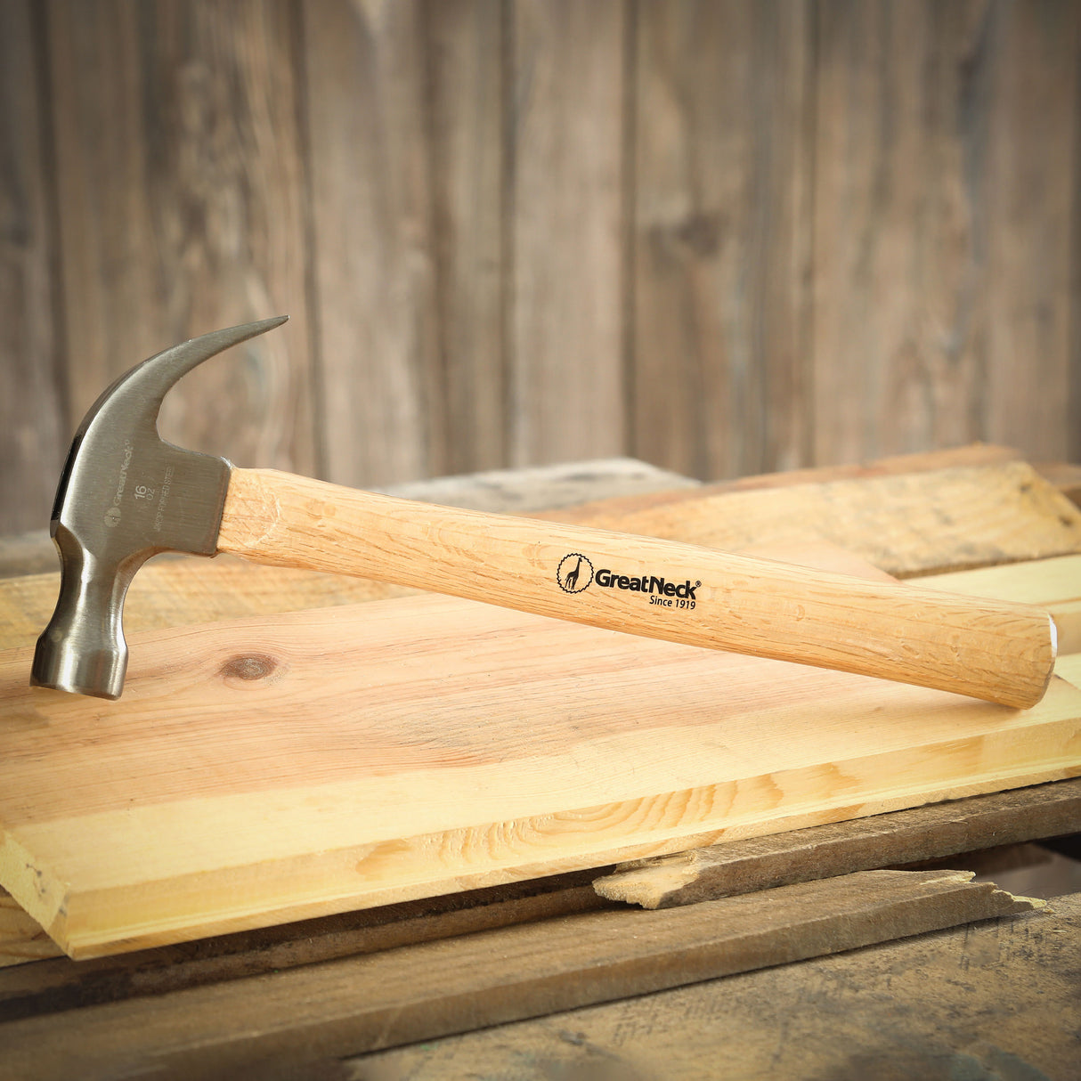 M16C Additional Image 6