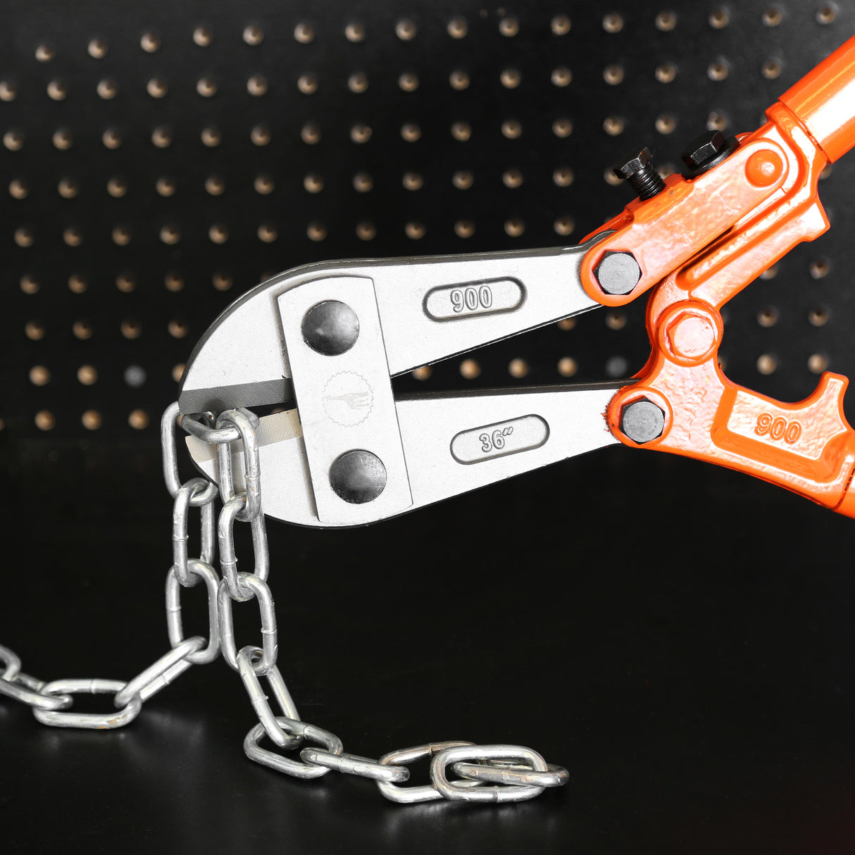 BC36 Additional Image 6