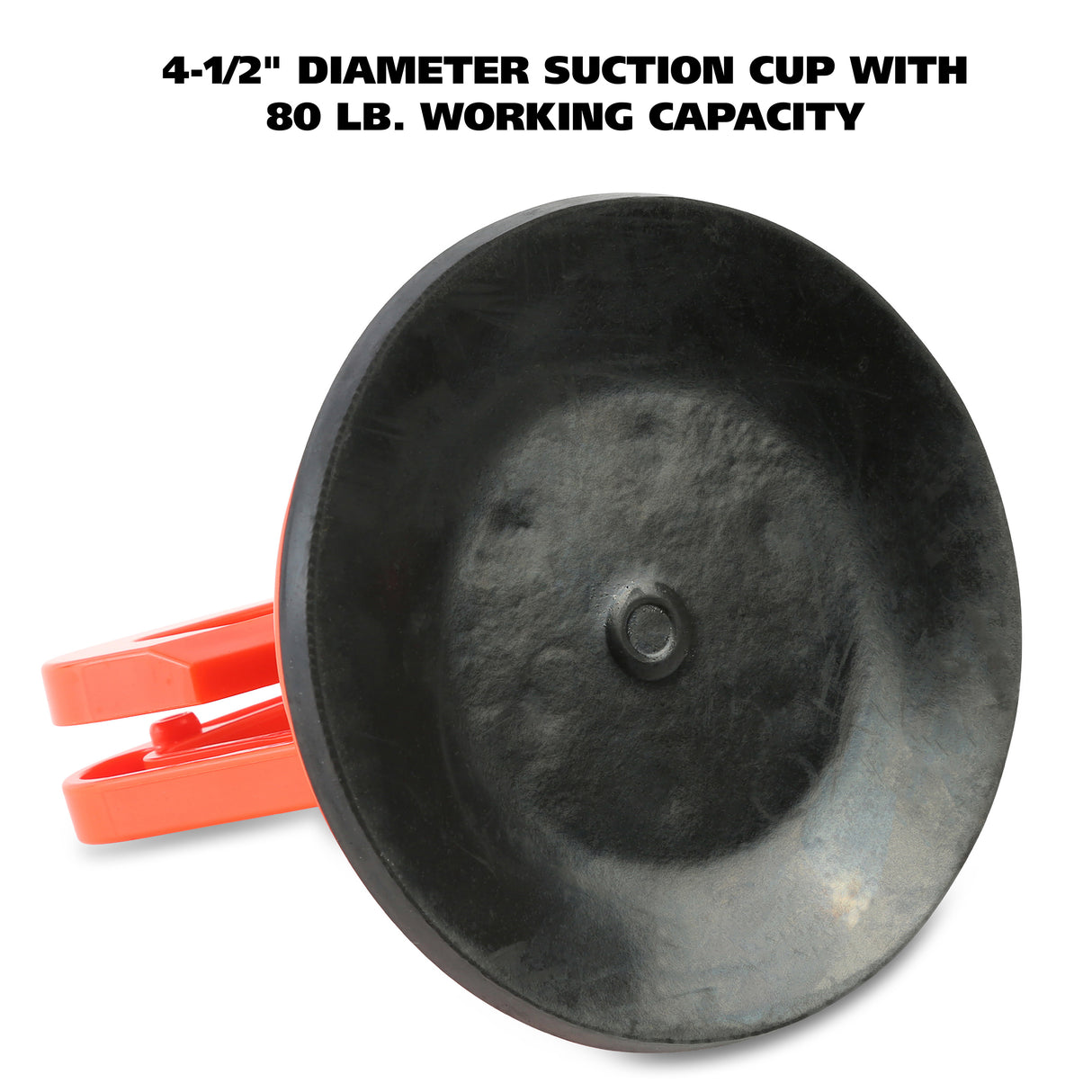 650 Additional Image 2