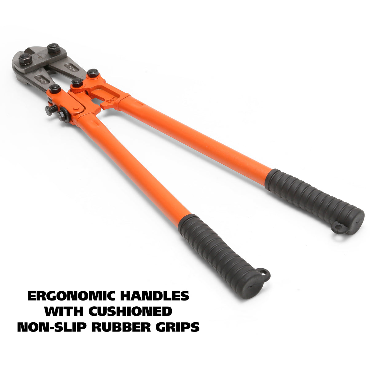 BC24 Additional Image 3