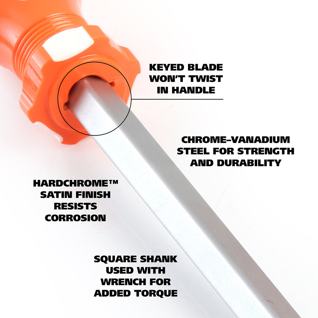 73777 Additional Image 3