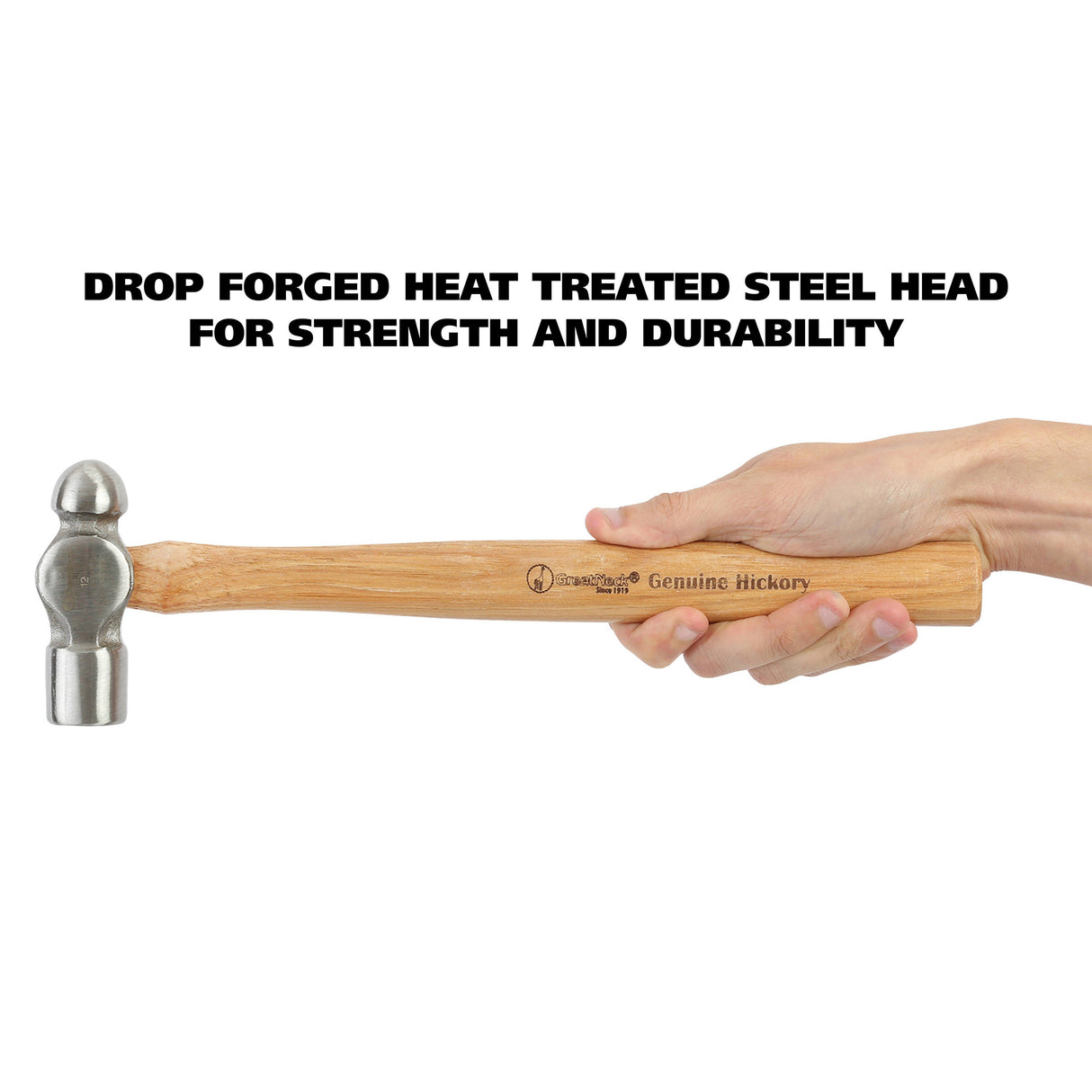 BP12 Additional Image 5