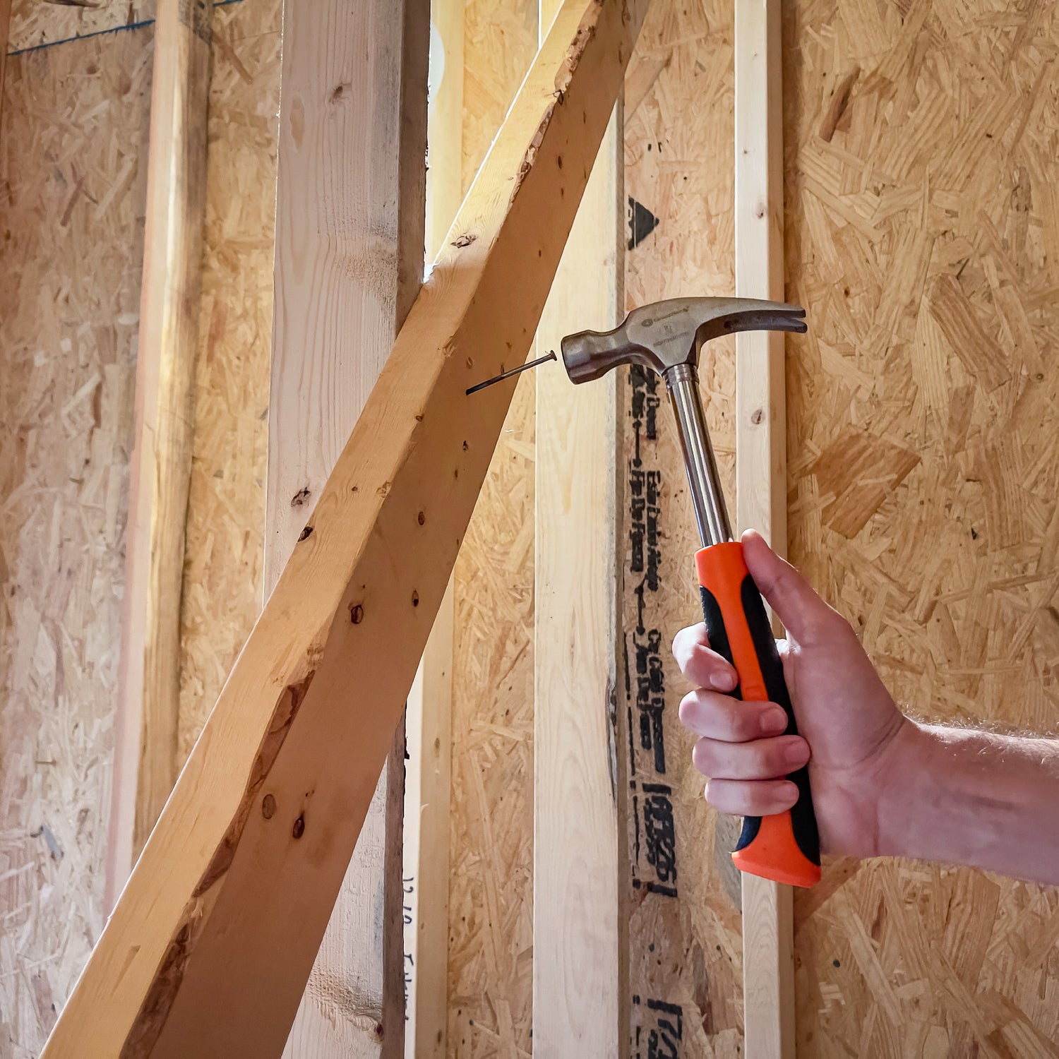 S16S Additional Image 7