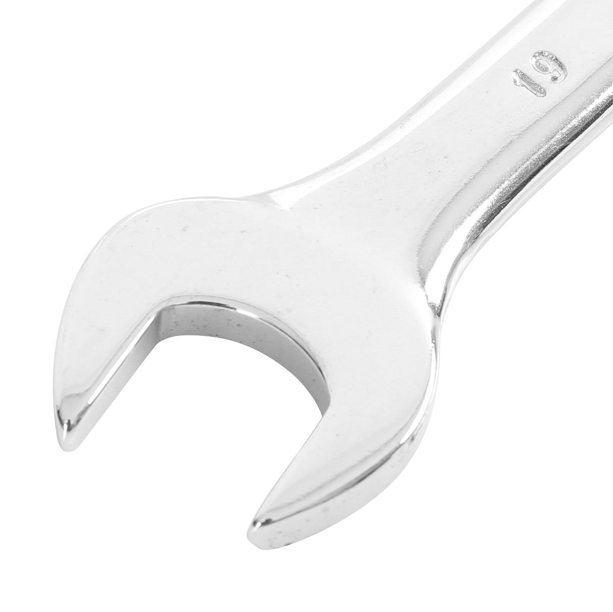 C19MC Additional Image 2