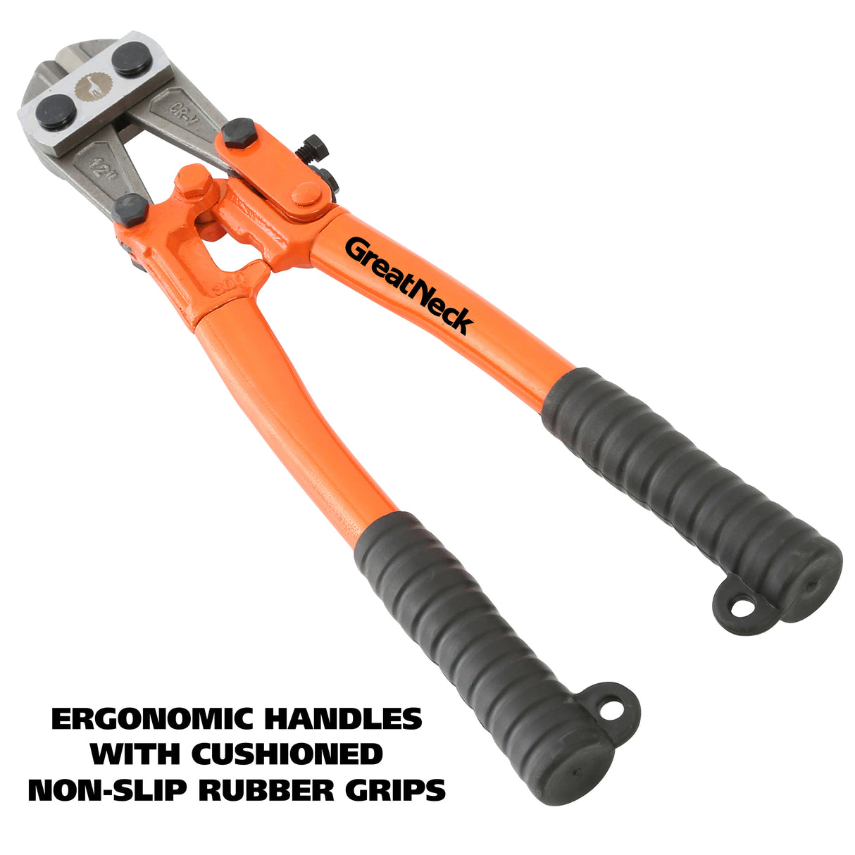 BC12 Additional Image 3