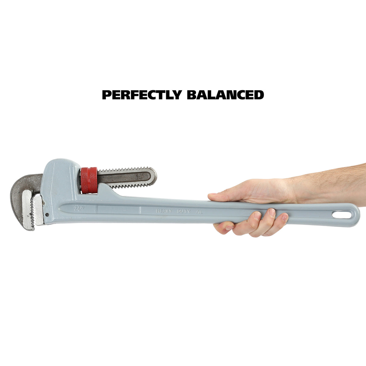 APW24 Additional Image 4