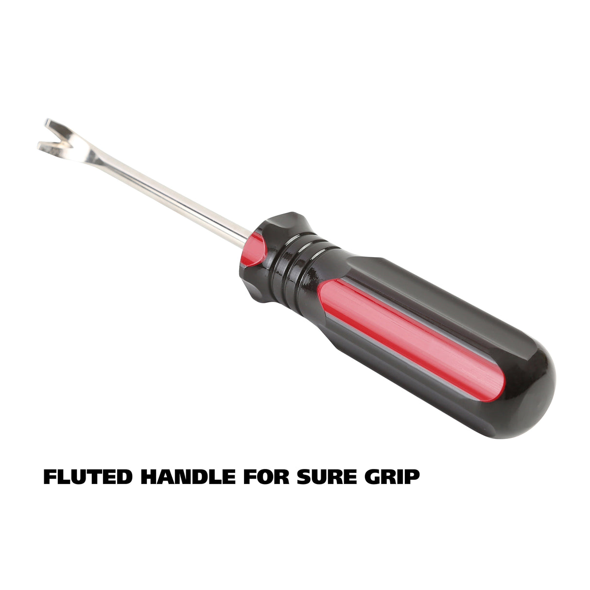 TL4C Additional Image 3