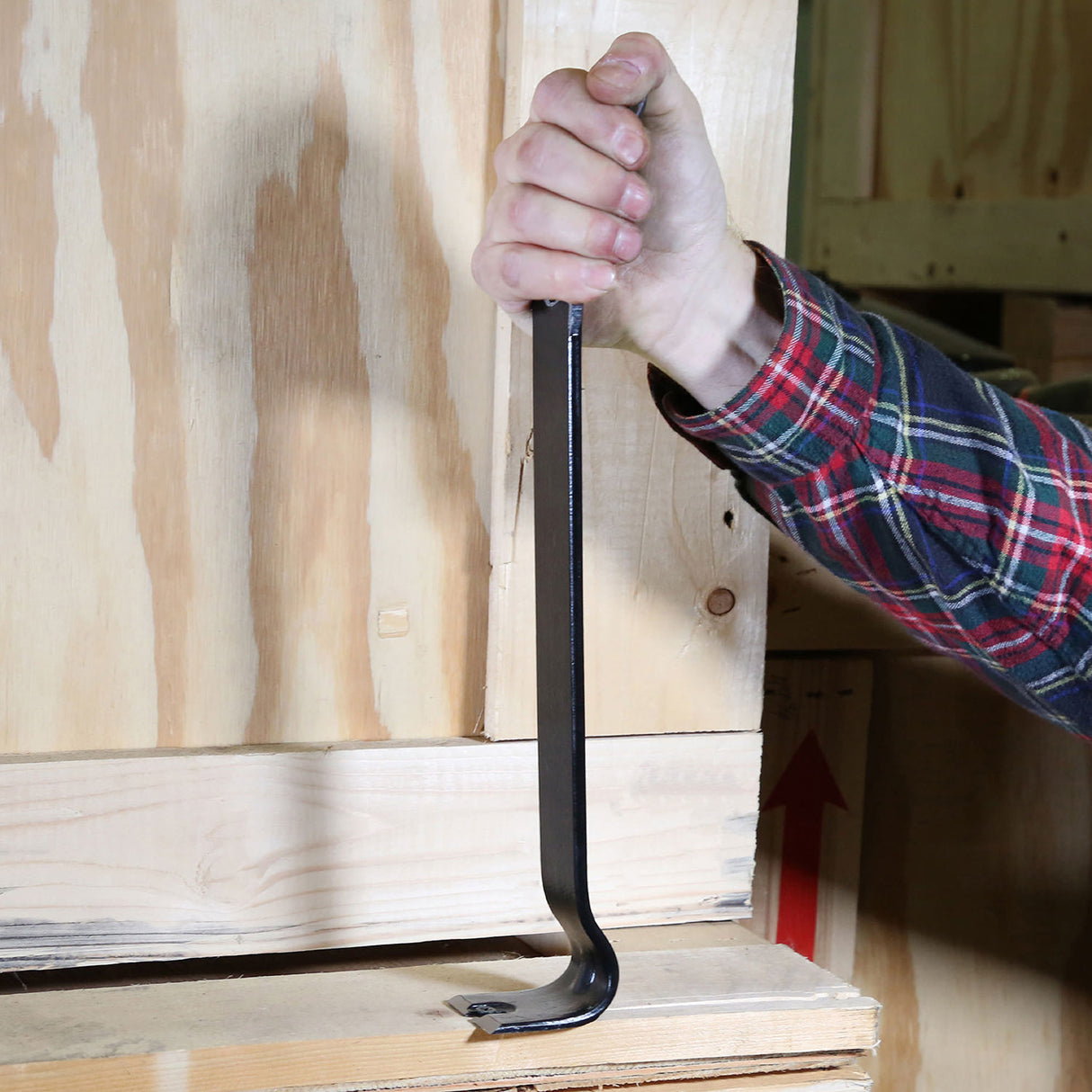 CVB15 Additional Image 7