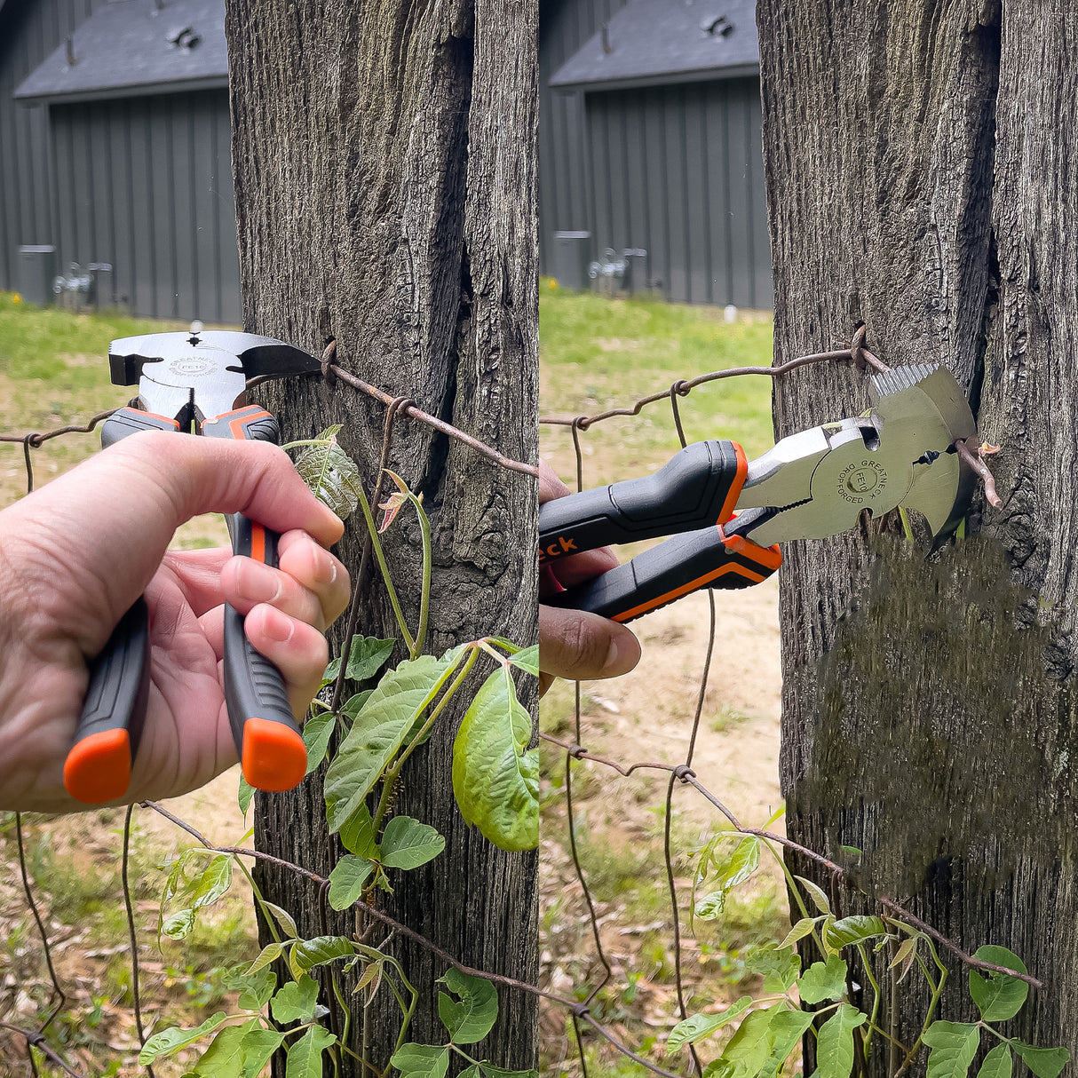 FE10 Additional Image 8