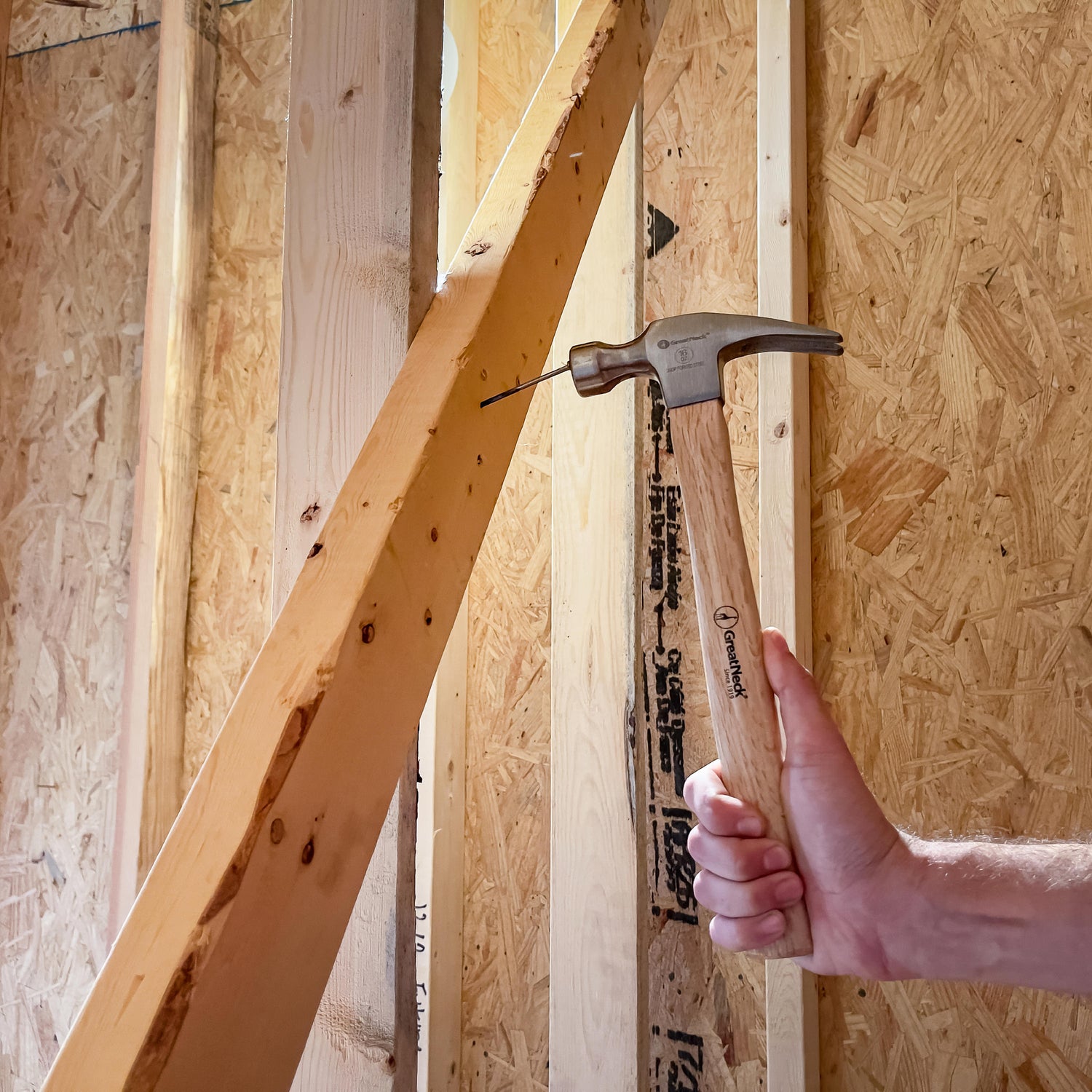 M16S Additional Image 7