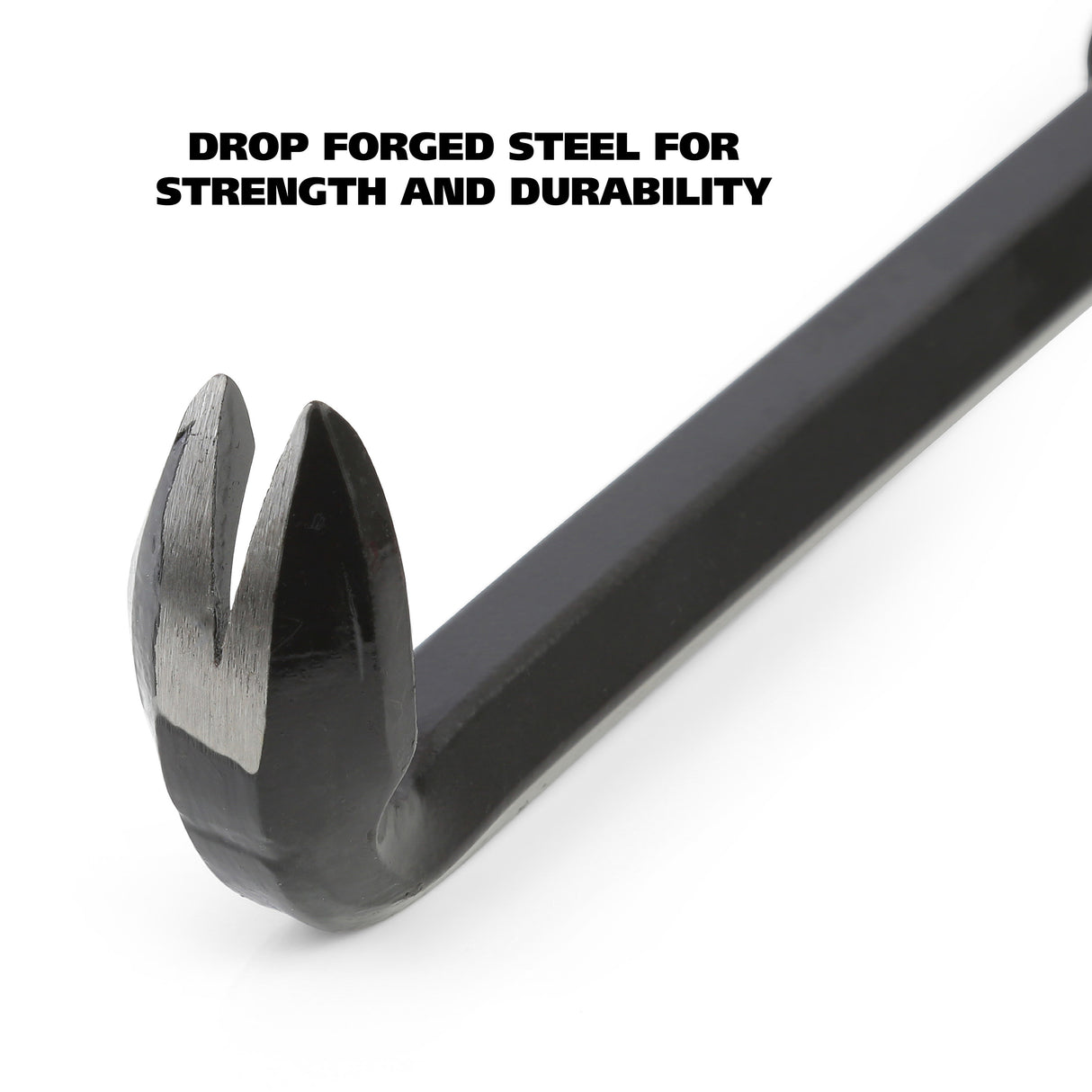 NC11 Additional Image 2