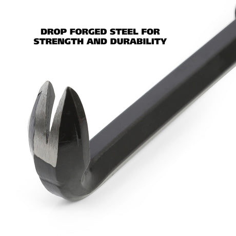 NC11 Additional Image 2