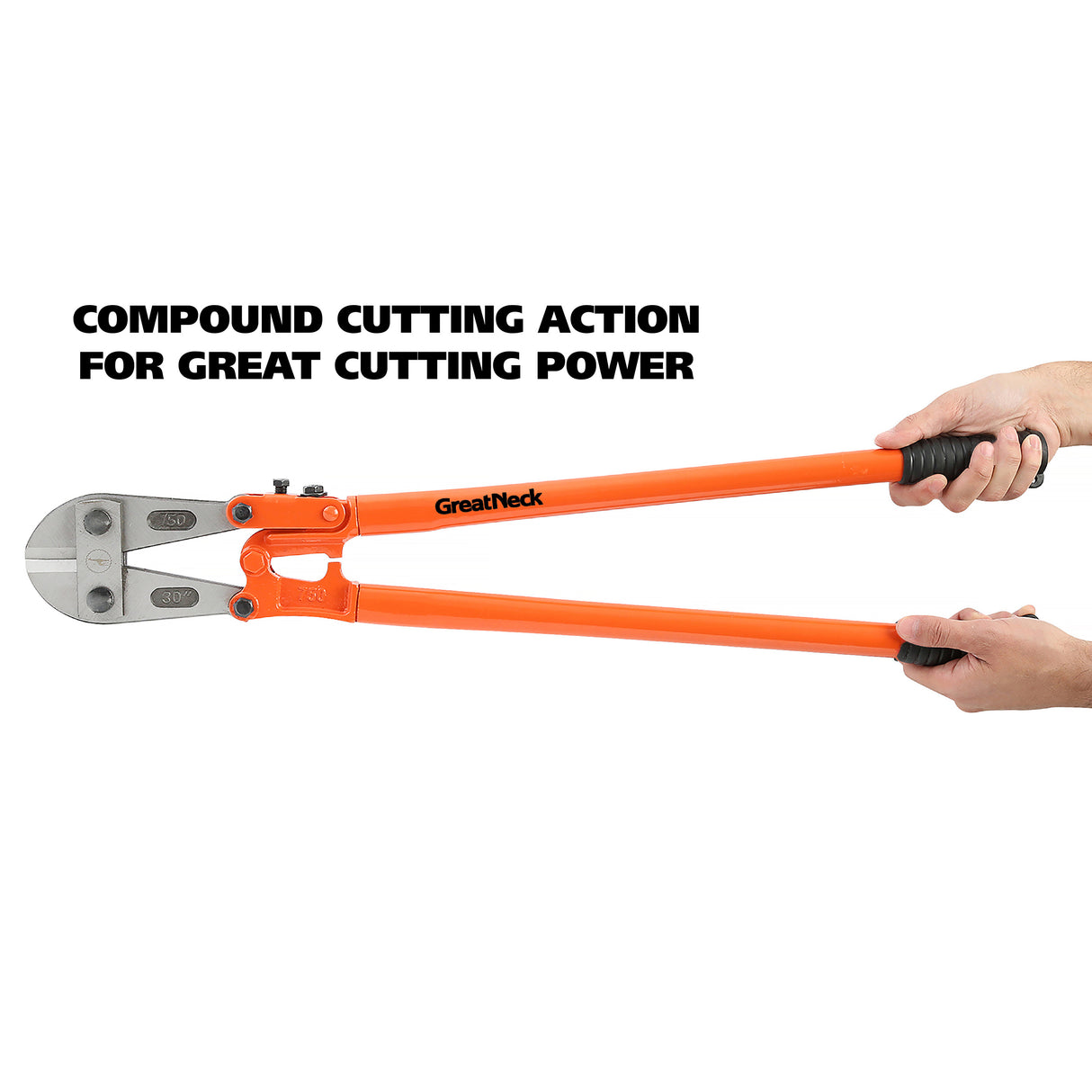 BC30 Additional Image 4