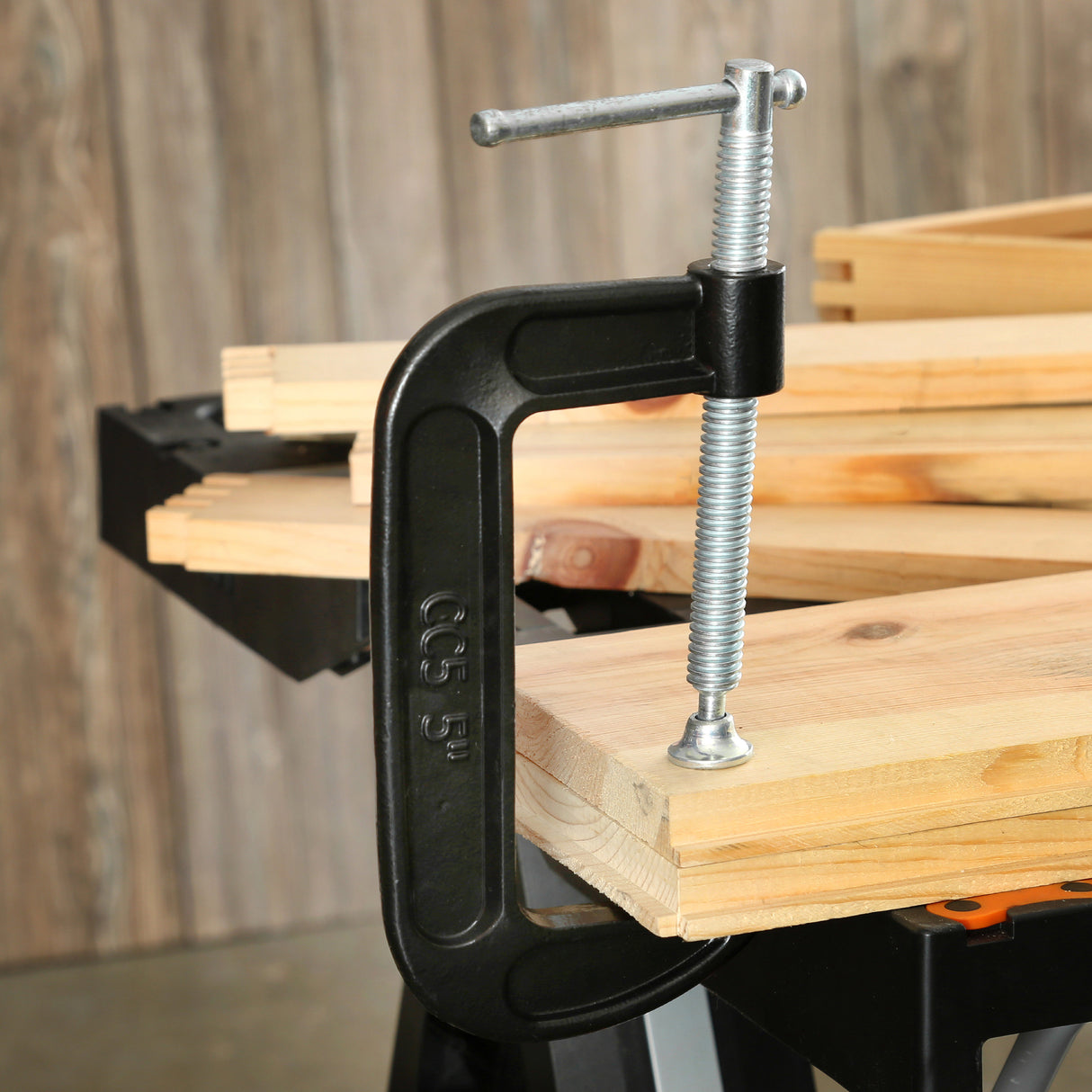 CC5 Additional Image 8