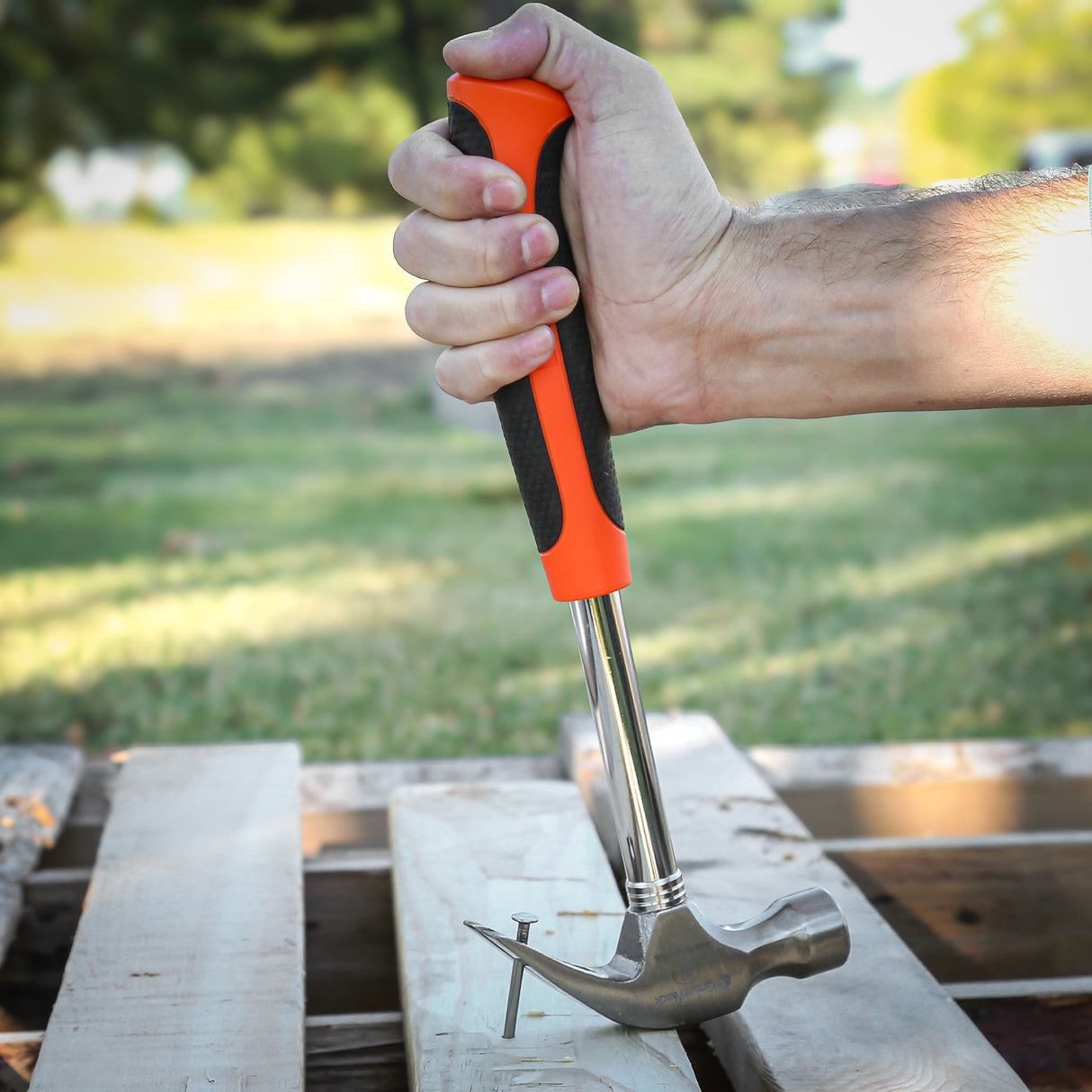 S16C Additional Image 8