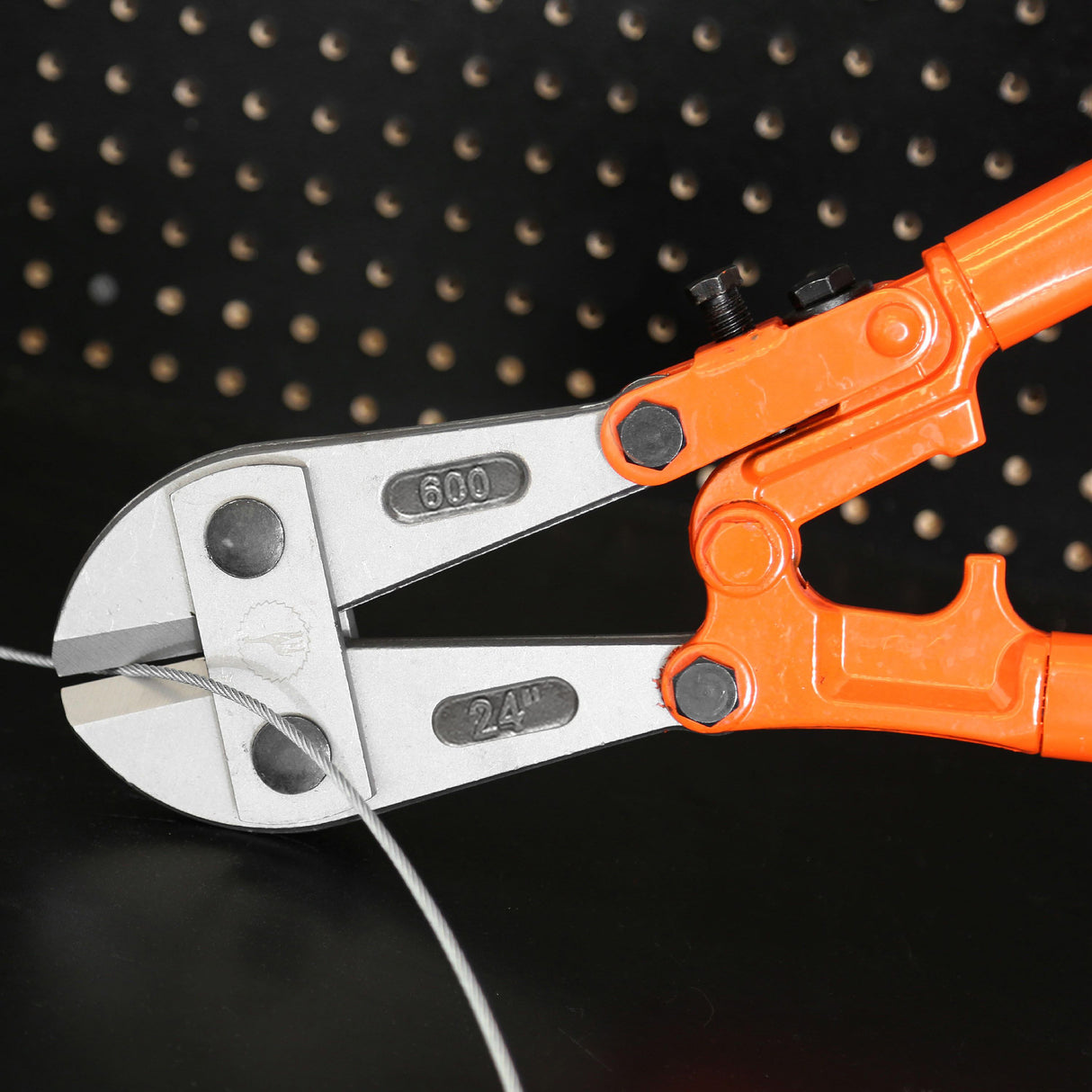 BC24 Additional Image 7