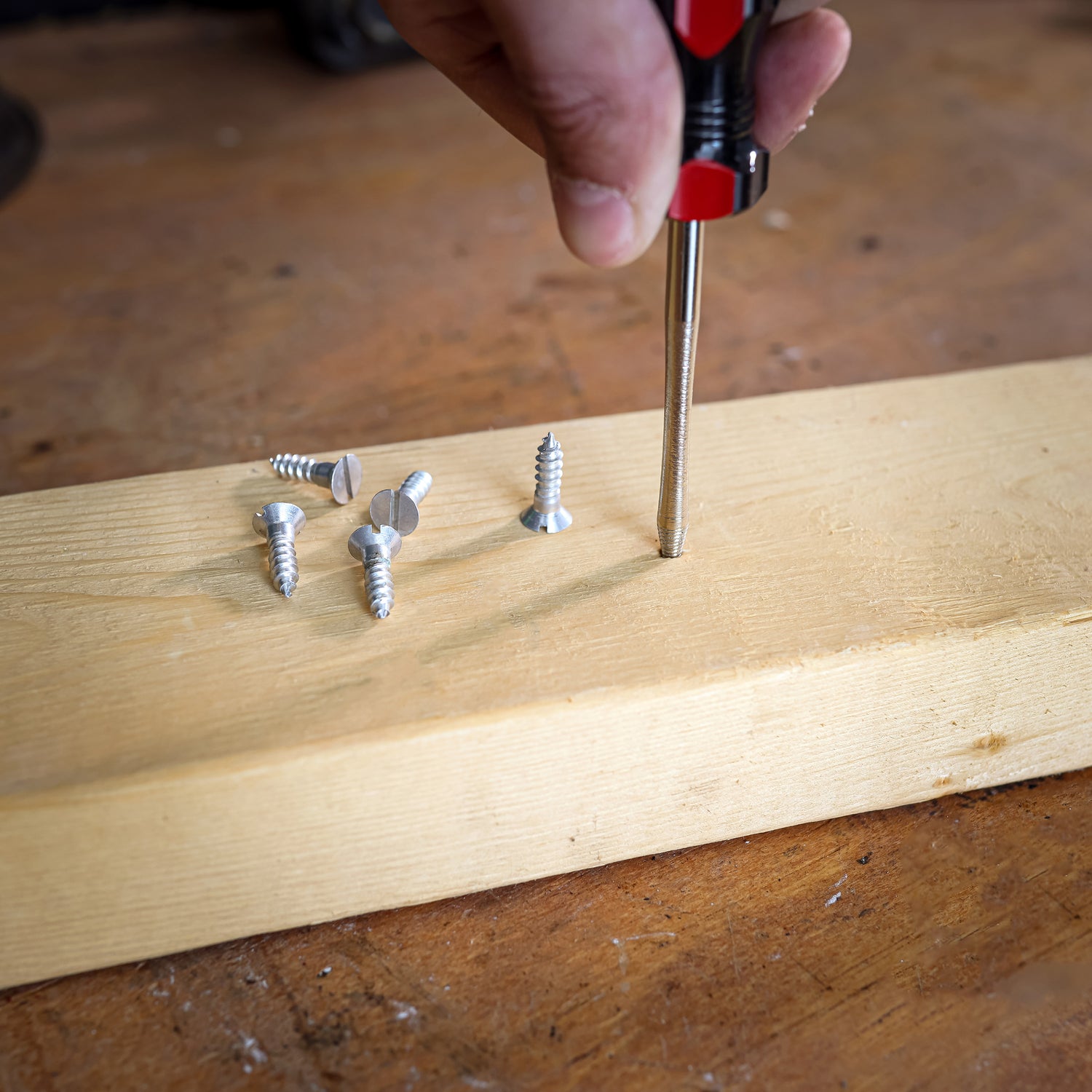 SS3 Additional Image 6