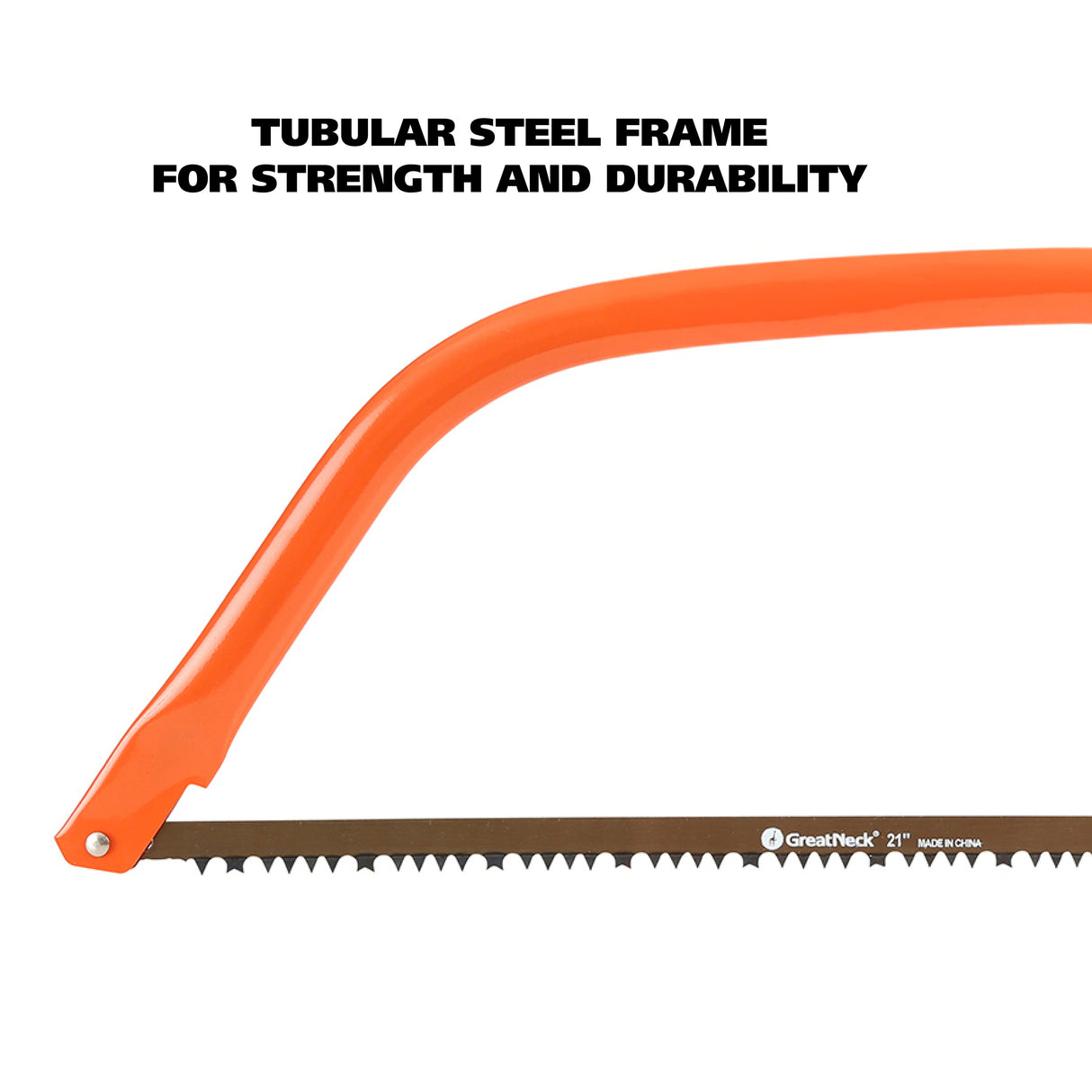 BB21 Additional Image 3