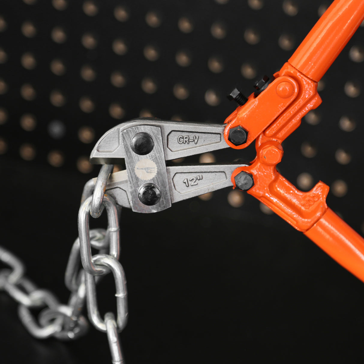 BC12 Additional Image 8