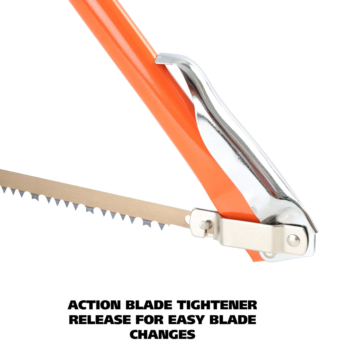 BB21 Additional Image 4