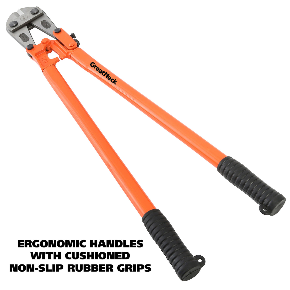 BC30 Additional Image 3