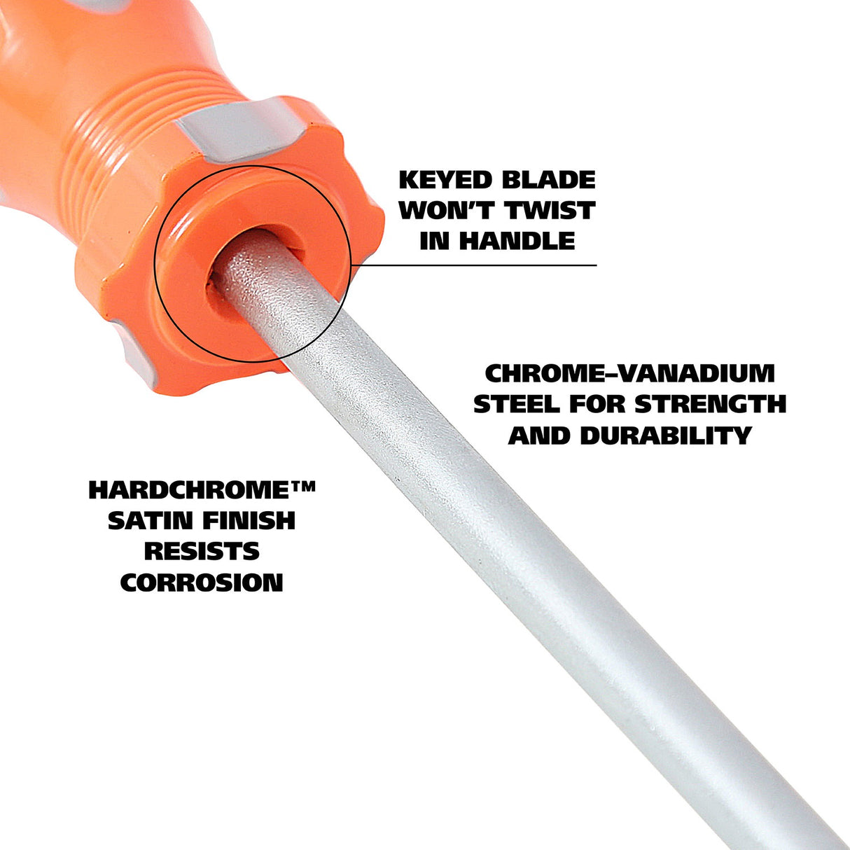 73125 Additional Image 3