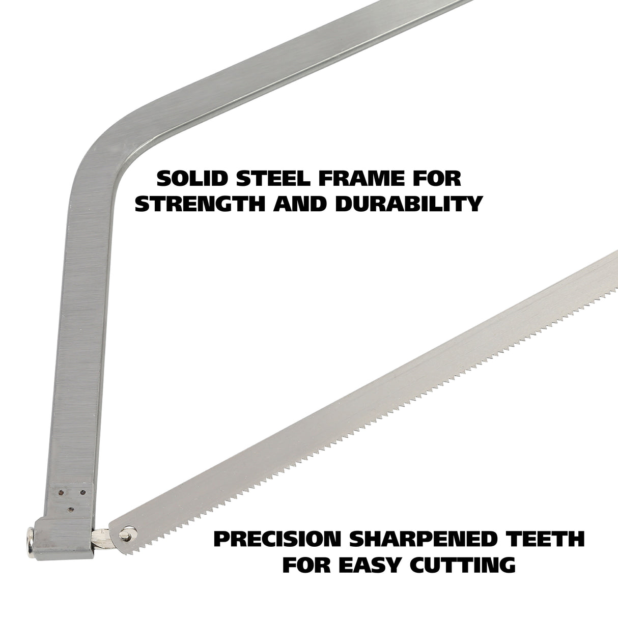 BUS22 Additional Image 2