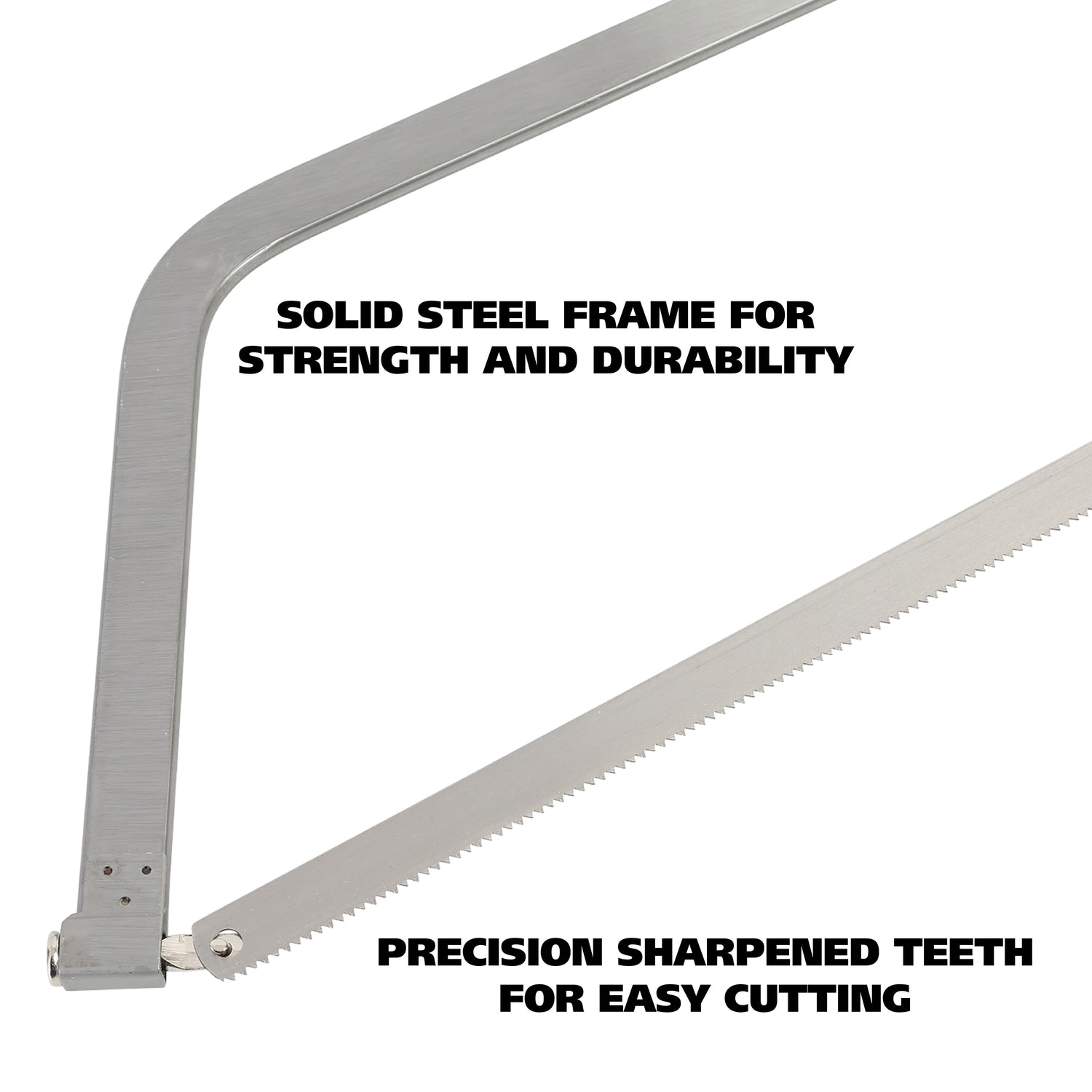 BUS22 Additional Image 2