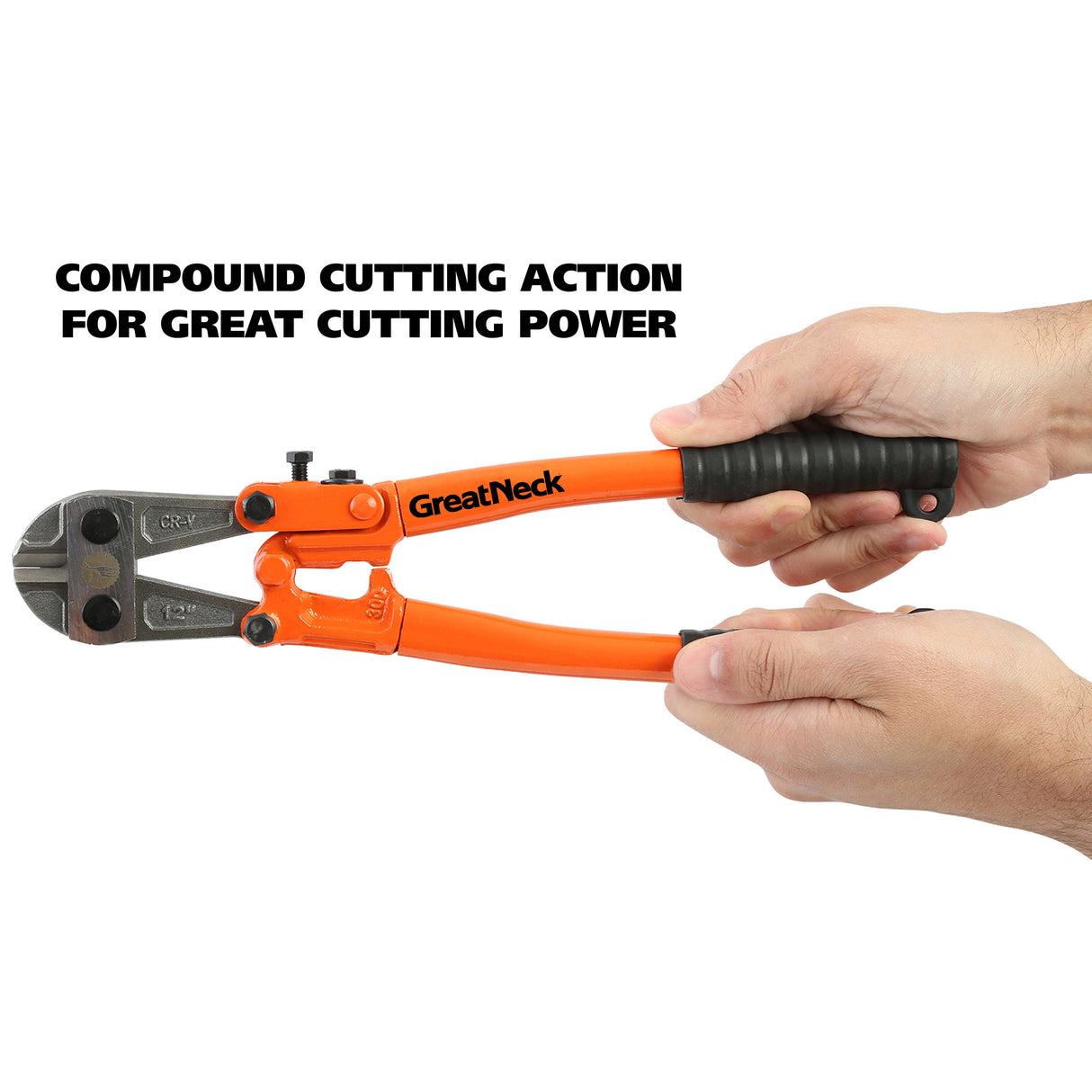 BC12 Additional Image 4