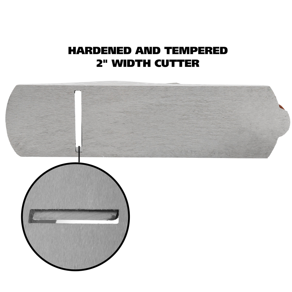 C4 Additional Image 4