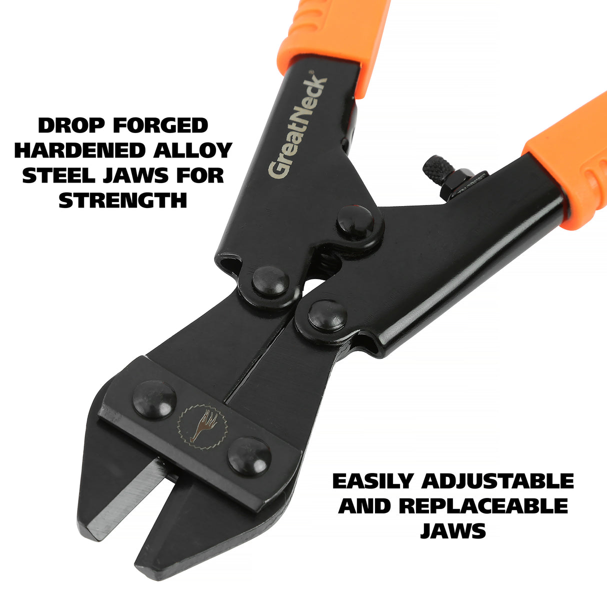 BC8 Additional Image 2