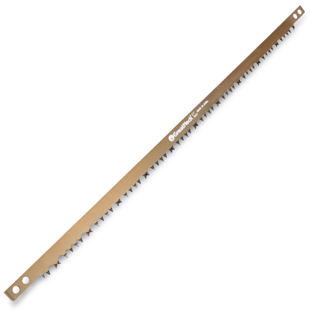 BS21 Main Image