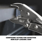 74231 Additional Image 6