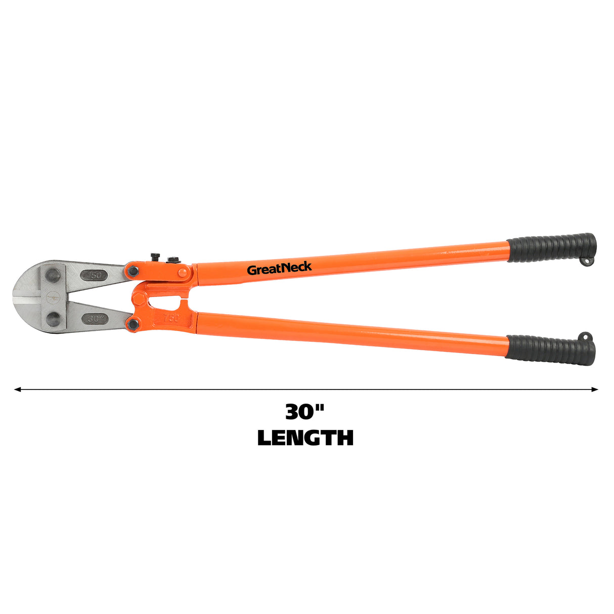 BC30 Additional Image 1